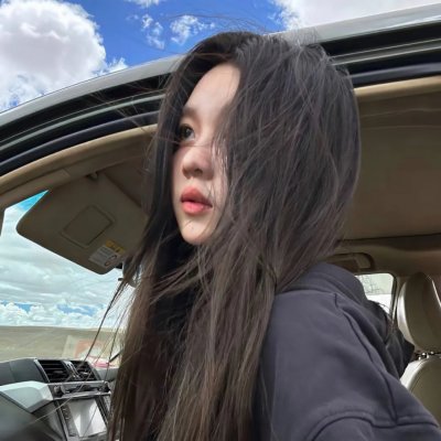 蓝徽特攻队