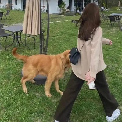 报告班长