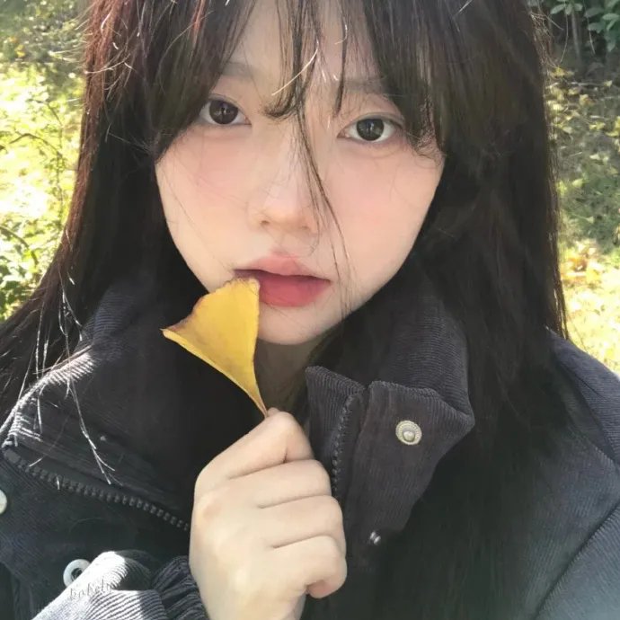 双子杀手